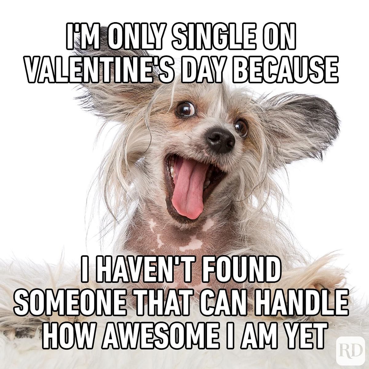 Check out some of the best Valentine's day 2022 quotes, memes, jokes, wishes for all the singles out there