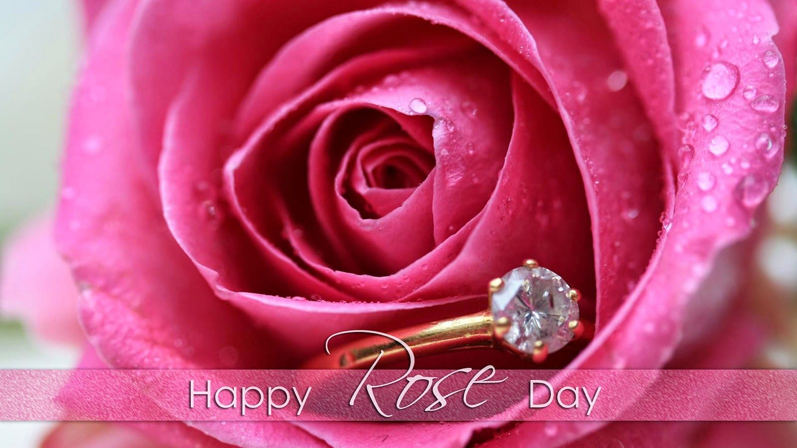 Beautiful Rose Day Wishes Images, 7 Feb Rose Day Images