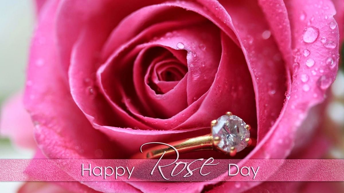 Happy Rose Day 2022: Wishes, Images, Quotes, Wallpapers, Gif, SMS ...