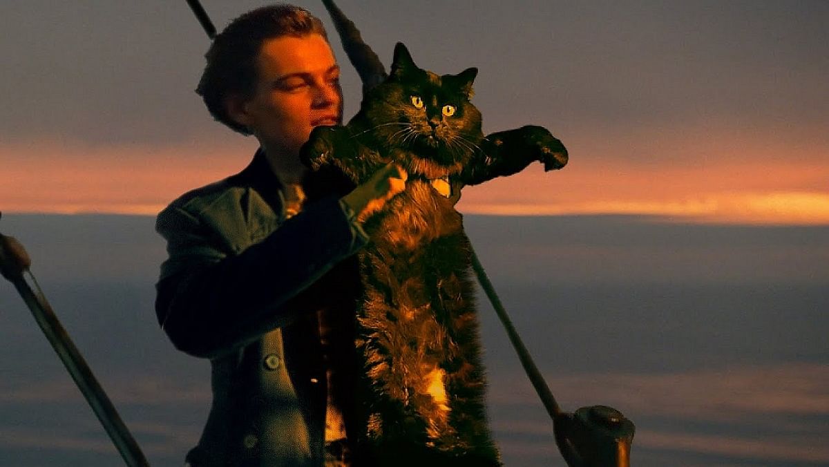 Video Featuring a Cat Instead of Kate Winslet Is the Ultimate ‘Titanic’ Spoof