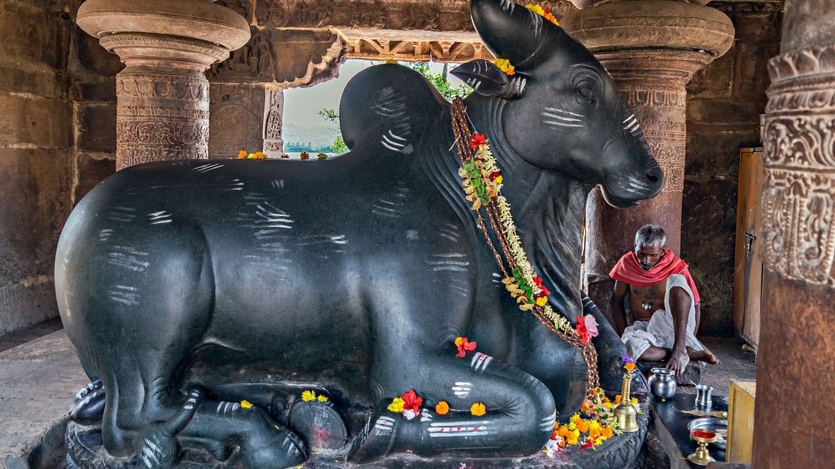 Maha Shivratri 2022: Significance of Nandi Idol's Position in Front of Shiva