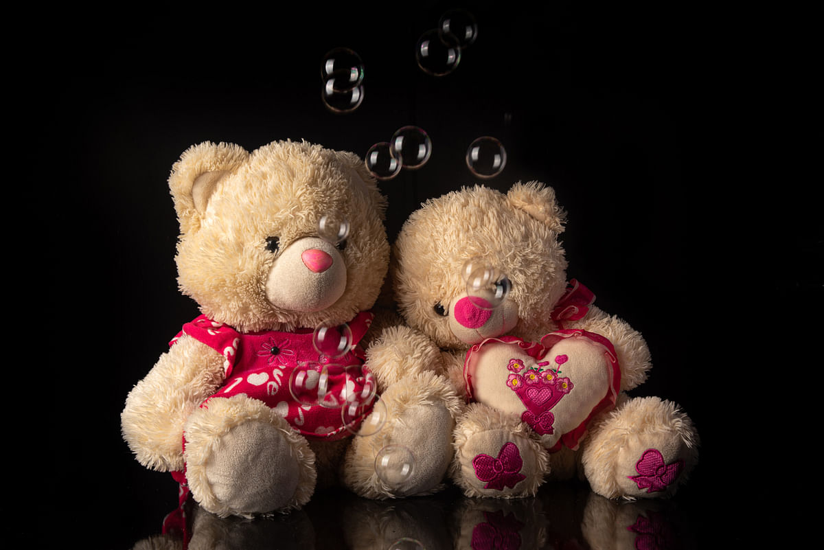 Teddy Day 2022 News: Top Stories, Latest Articles, Photos, Videos ...