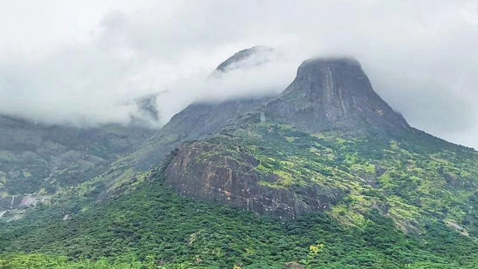 <div class="paragraphs"><p>The project site lies in Pottipuram village in the Theni district of Tamil Nadu, about 4.9 kilometers from Mathikettan-Periyar tiger corridor and falls within the Bodi Hills West Reserve Forest.</p></div>