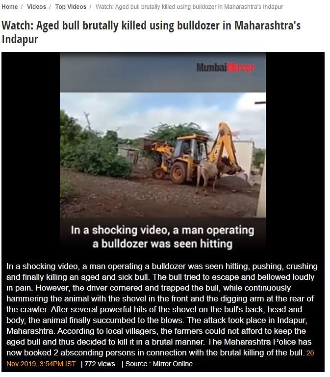 The video is from a village in Pune district of Maharashtra, which shows a JCB being used to kill the bull. 