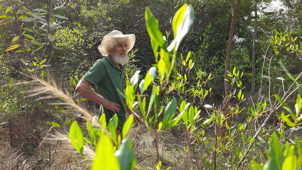 In 1994, the seed of an audacious idea was planted. It took 28 years to grow an 8 acre forest. 