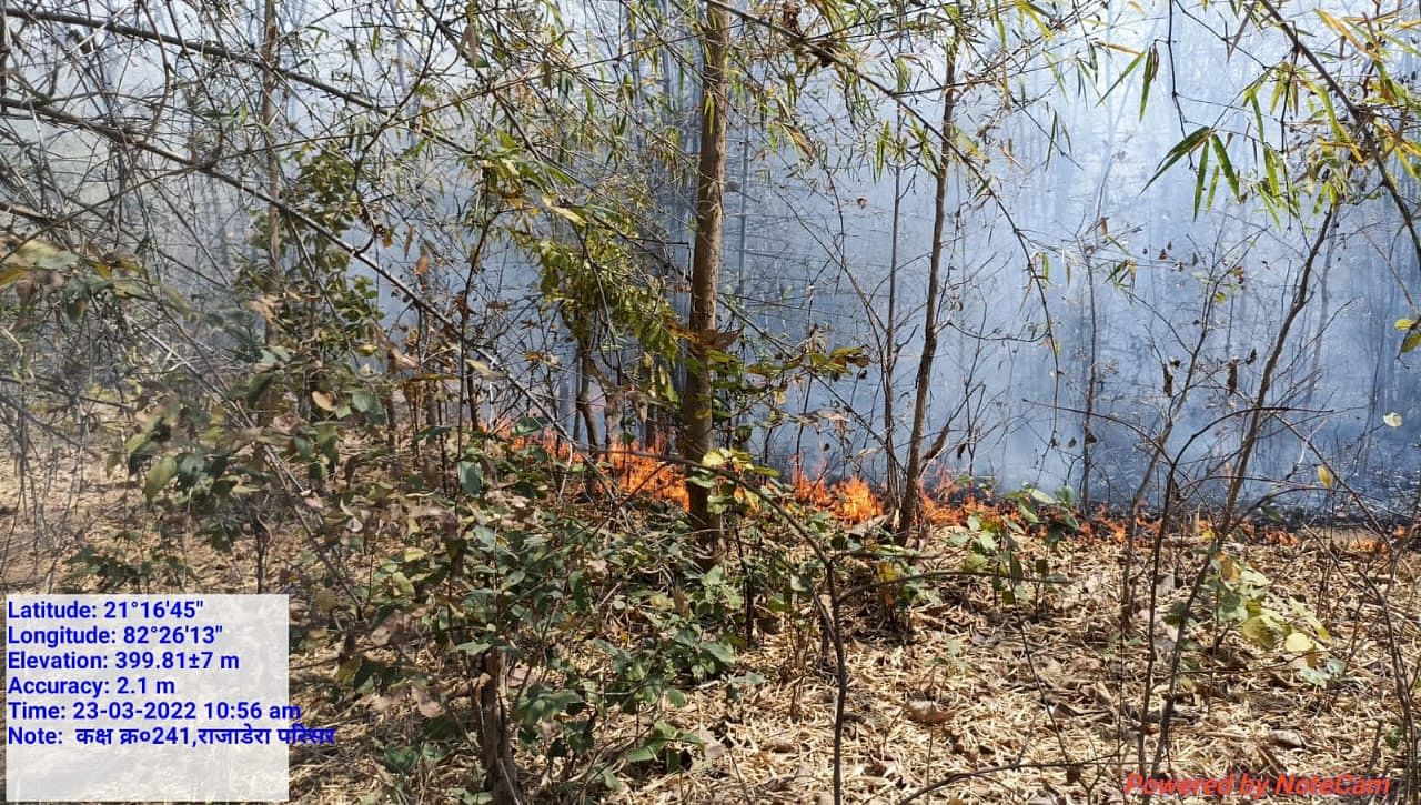 <div class="paragraphs"><p>Chhattisgarh recorded 8,022 forest fire incidents in the last 45 days. The forest department's ground staff had declared a strike on 21 March 2022.&nbsp;</p></div>
