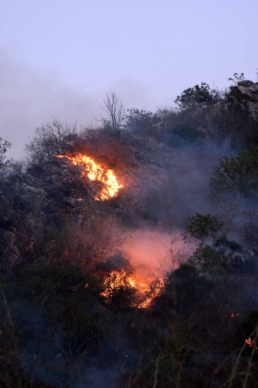The fire was brought under control, with the IAF helicopter aiding in dousing nearly 95% of the inferno.