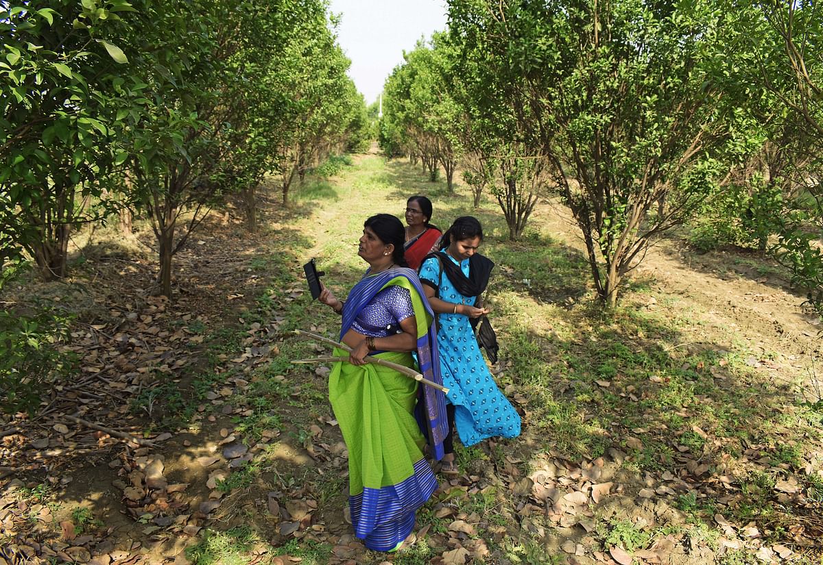 Academics meet women farmers and study how they toil in the fields with limited support.