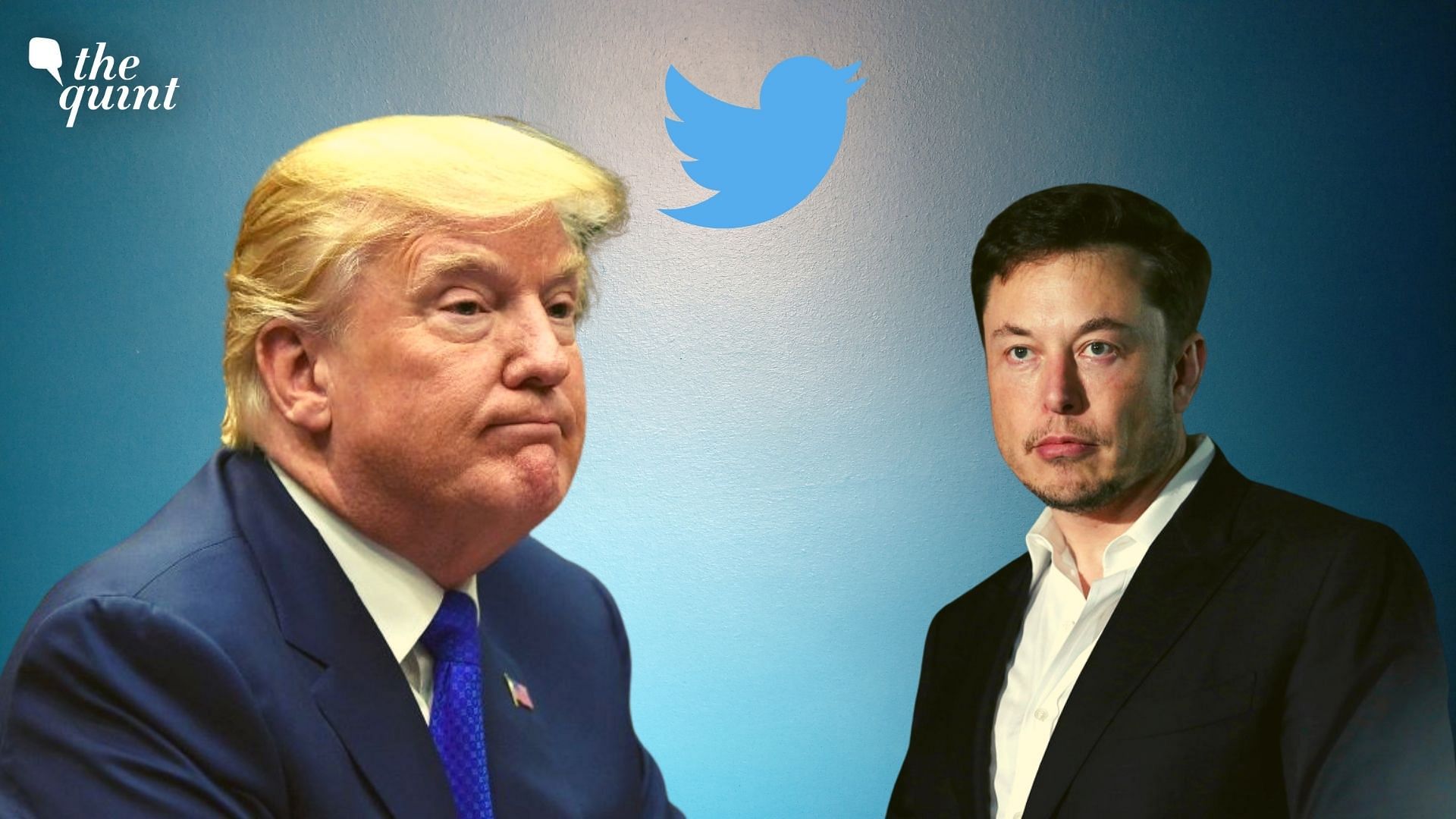 <div class="paragraphs"><p>Even as Tesla CEO Elon Musk takes over Twitter, former United States (US) President Donald Trump will not be making his comeback to the microblogging site.</p></div>