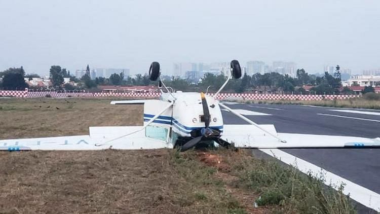 <div class="paragraphs"><p>Private plane toppled while landing as a dog crossed on the runaway.</p></div>
