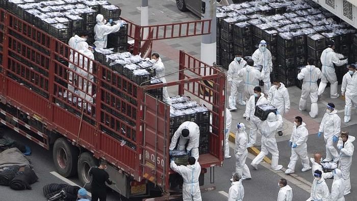 As Lockdown Discontent Simmers, Shanghai Reports 12 New COVID-19 Cases