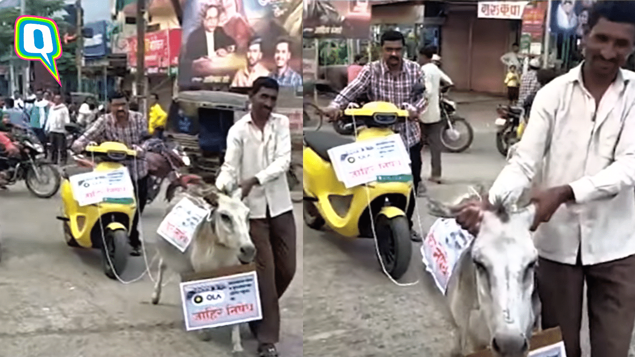 <div class="paragraphs"><p>Man ties Ola scooter with donkey to protest against the poor service</p></div>