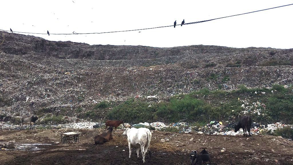 The Ghazipur landfill stands at an astonishing height of 50 metres.&nbsp;