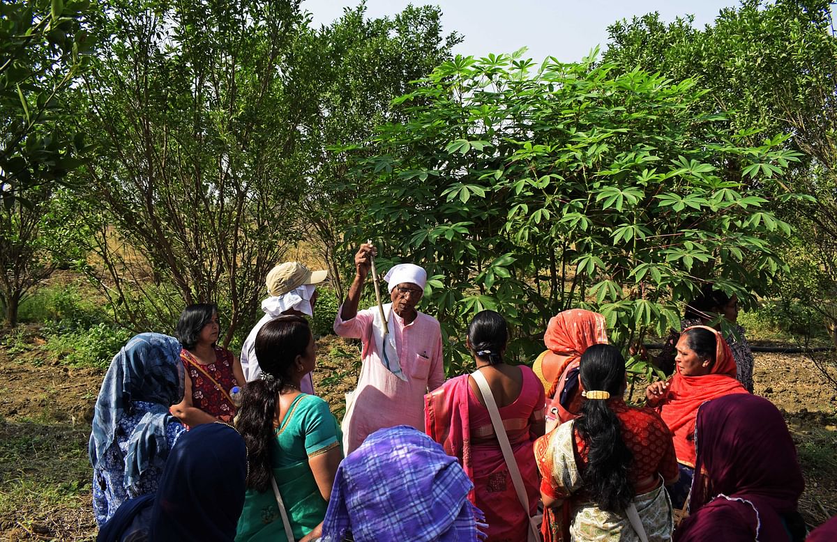 Academics meet women farmers and study how they toil in the fields with limited support.