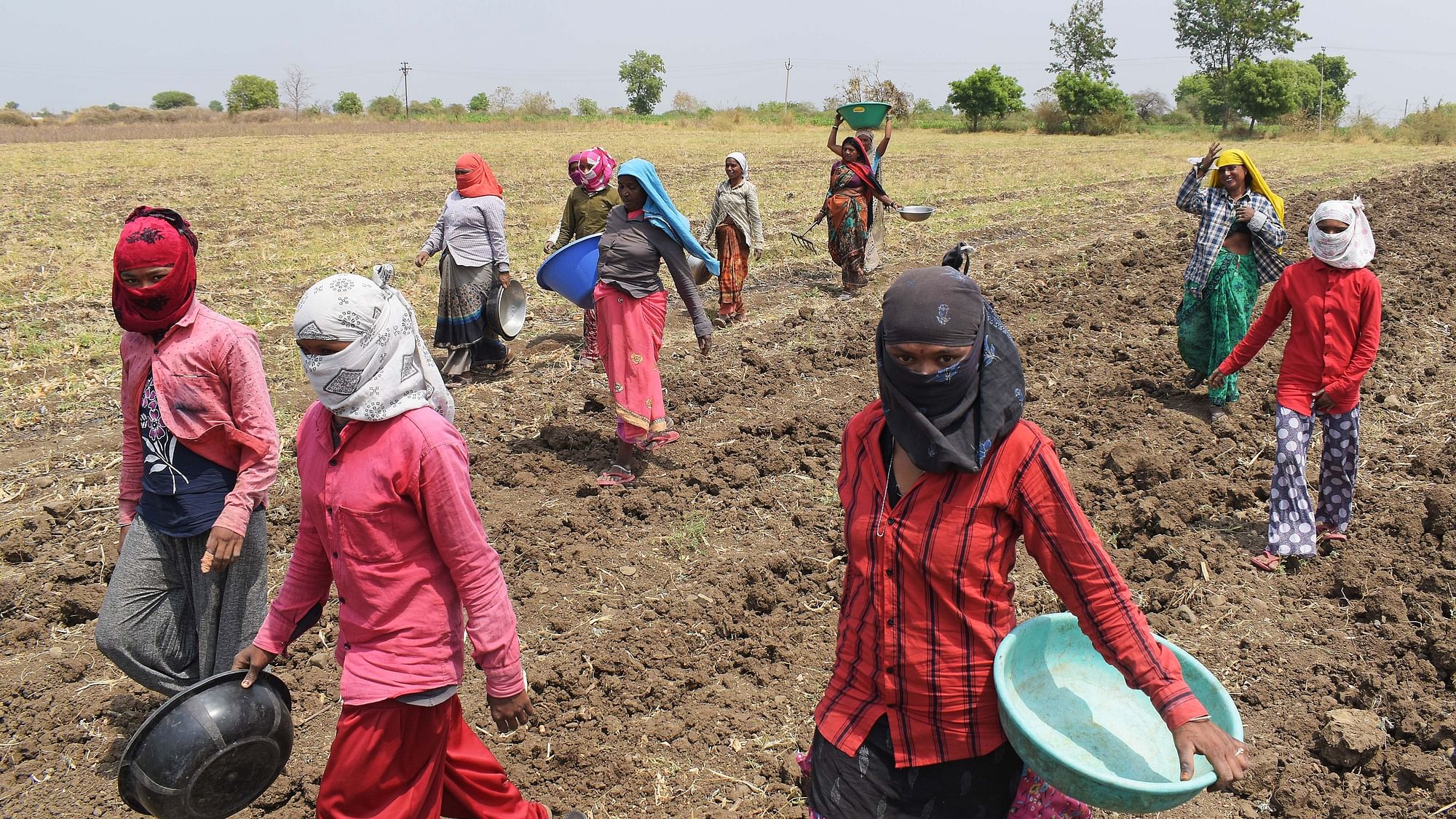 <div class="paragraphs"><p>Teenage women engaged in daily wage farm labour in Yavatmal district.</p></div>