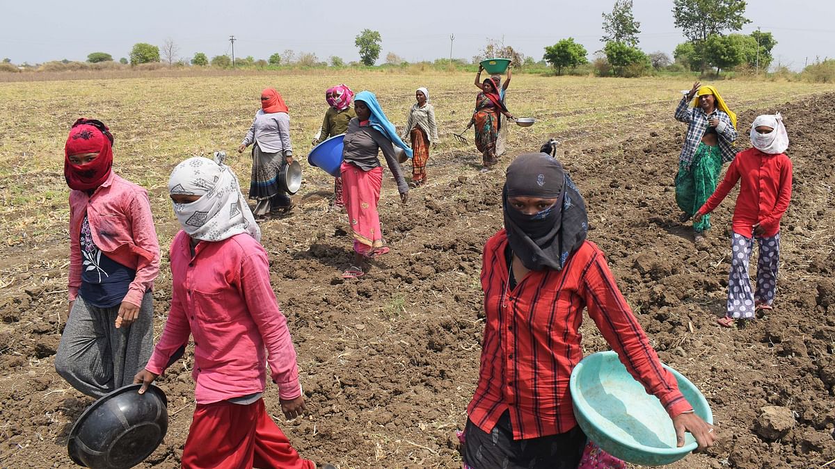 How Women Farmers From Maha's Vidarbha Are Made Invisible Despite Workload