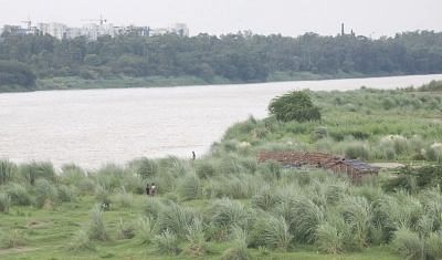<div class="paragraphs"><p>A view of the swollen Yamuna river. Image for representative purposes.</p></div>
