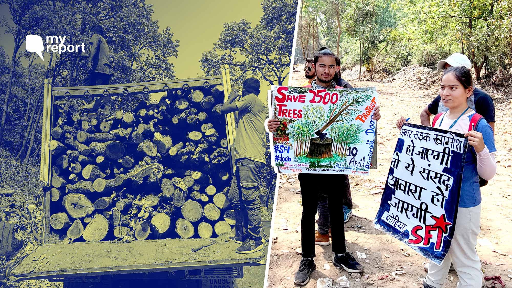 <div class="paragraphs"><p>Locals protesting in Dehradun against the felling of trees.</p></div>