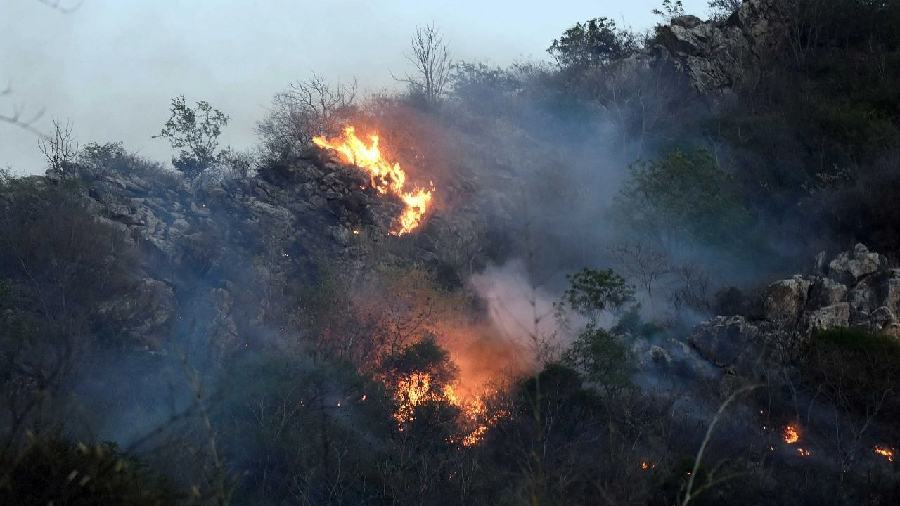 <div class="paragraphs"><p>An Indian Air Force (IAF) helicopter was called in from Phalodi after wildfire in Rajasthan's Sajjangarh sanctuary engulfed over 200 hectares of land on Monday, 18 April.</p></div>