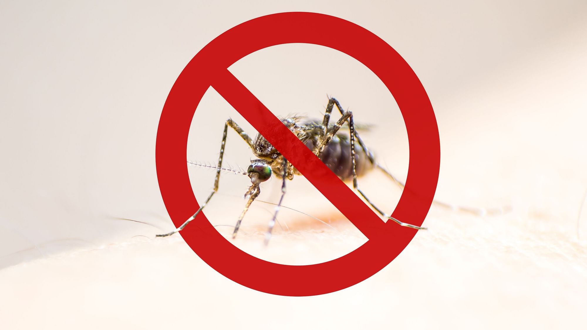 <div class="paragraphs"><p>World Malaria Day 2022 is observed on Monday, 25 April 2022.</p></div>