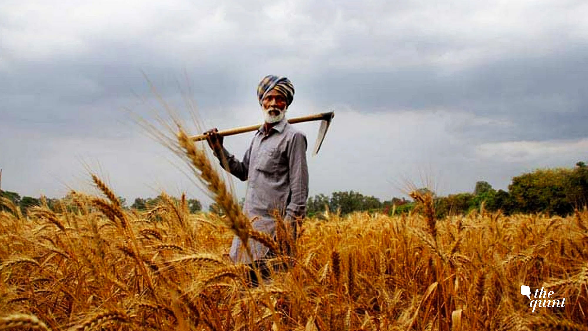 <div class="paragraphs"><p>The Central government announced a ban on wheat exports recently.&nbsp;</p></div>