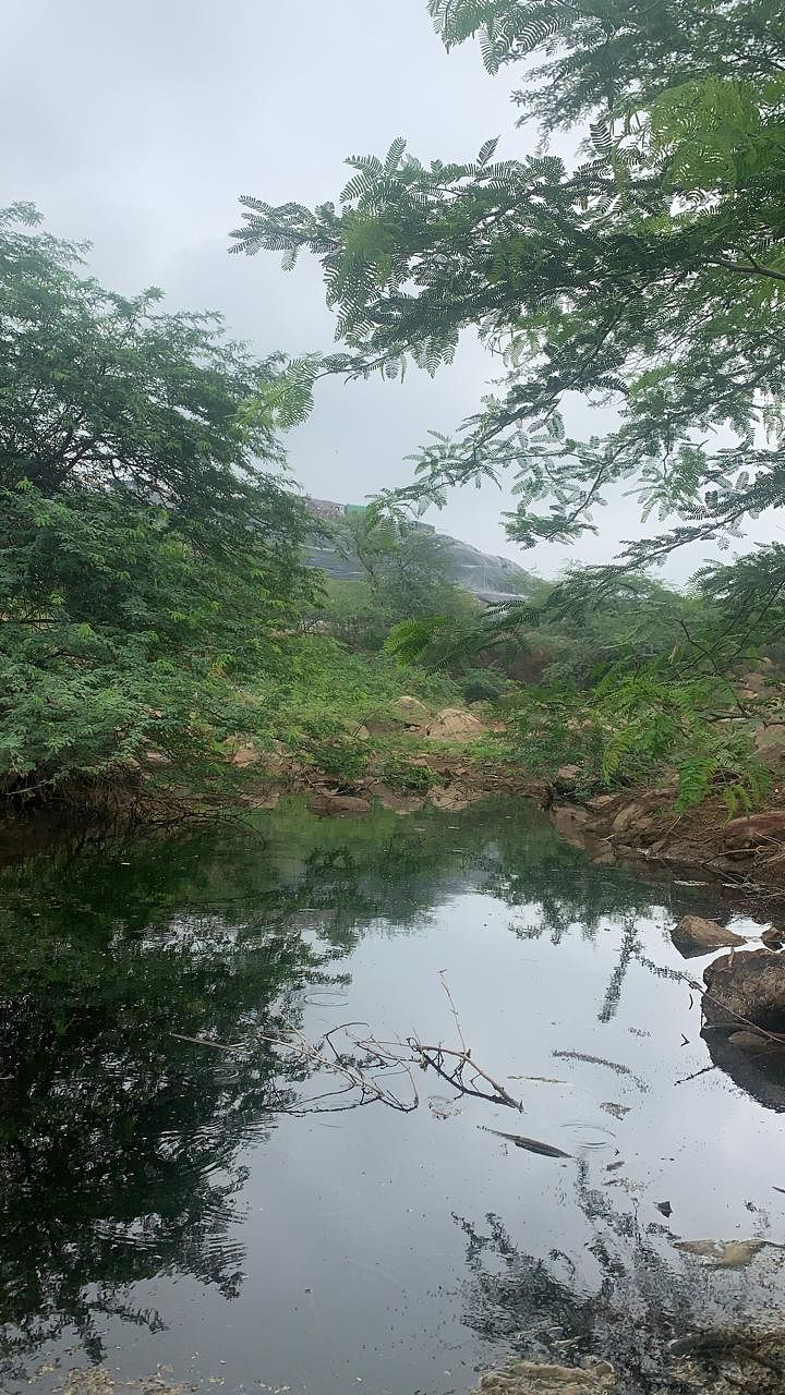 A CSE report shows high levels of biochemicals in the samples of liquid discharge collected from the Aravallis.
