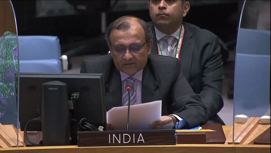 <div class="paragraphs"><p>In a terse response to the Dutch envoy, India's Permanent Representative to the UN Ambassador TS Tirumurti on Thursday, 5 May, said that Delhi "knows what to do" and did not like being patronised.</p></div>