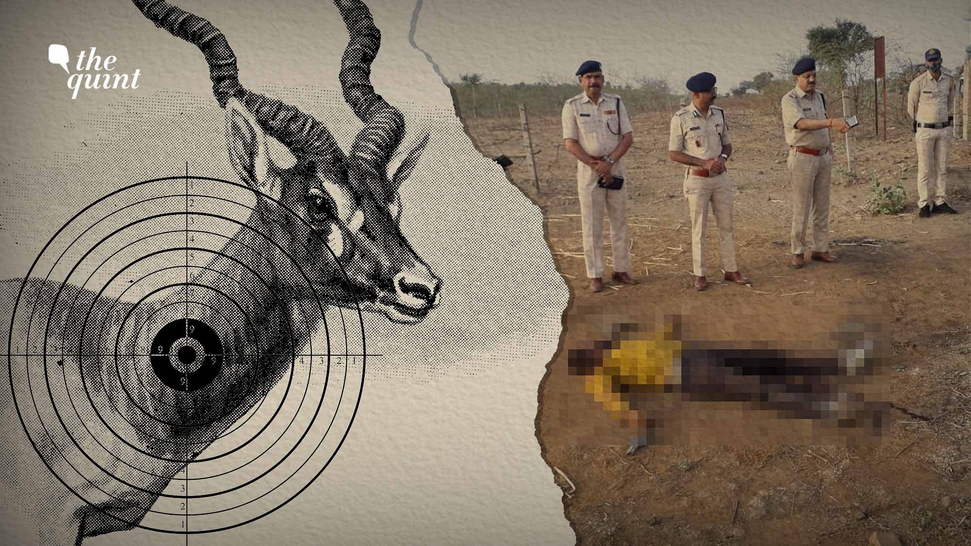 <div class="paragraphs"><p>Madhya Pradesh Blackbuck Poaching Case: 3 Hunters Killed, 2 Arrested and Shot in Leg, 2 More Absconding, Here's How Things Unfolded ?</p></div>