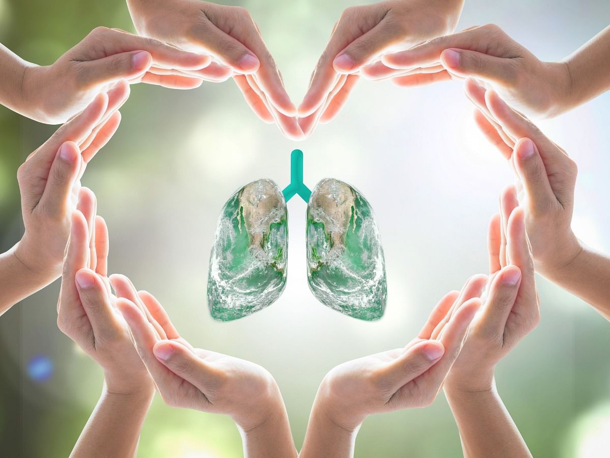 <div class="paragraphs"><p>Celebrate this World Asthma day with quotes, posters and messages</p></div>
