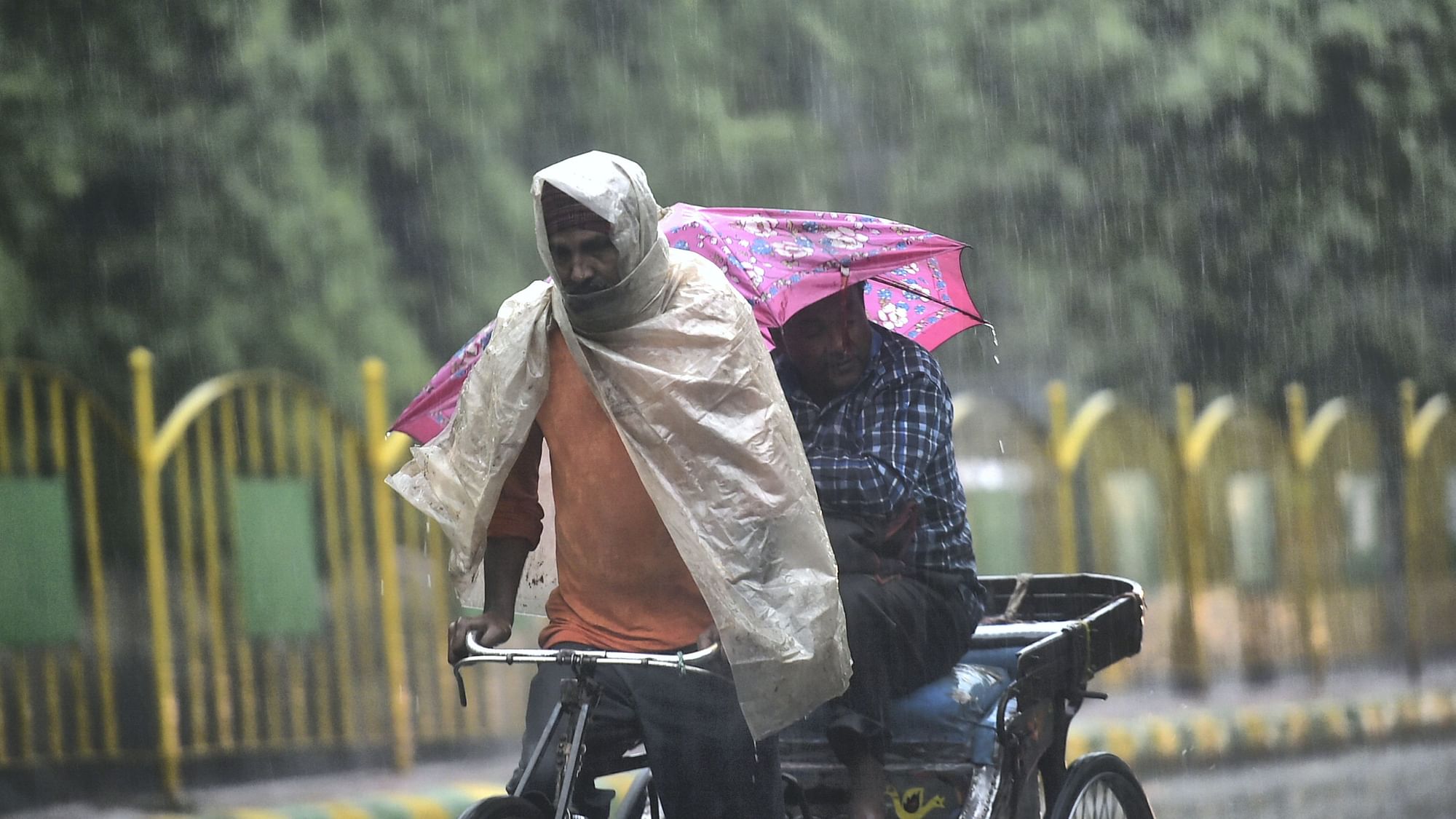 <div class="paragraphs"><p>A worker paddles his rickshaw with a passenger during rain in Ghaziabad on 23 May. </p></div>