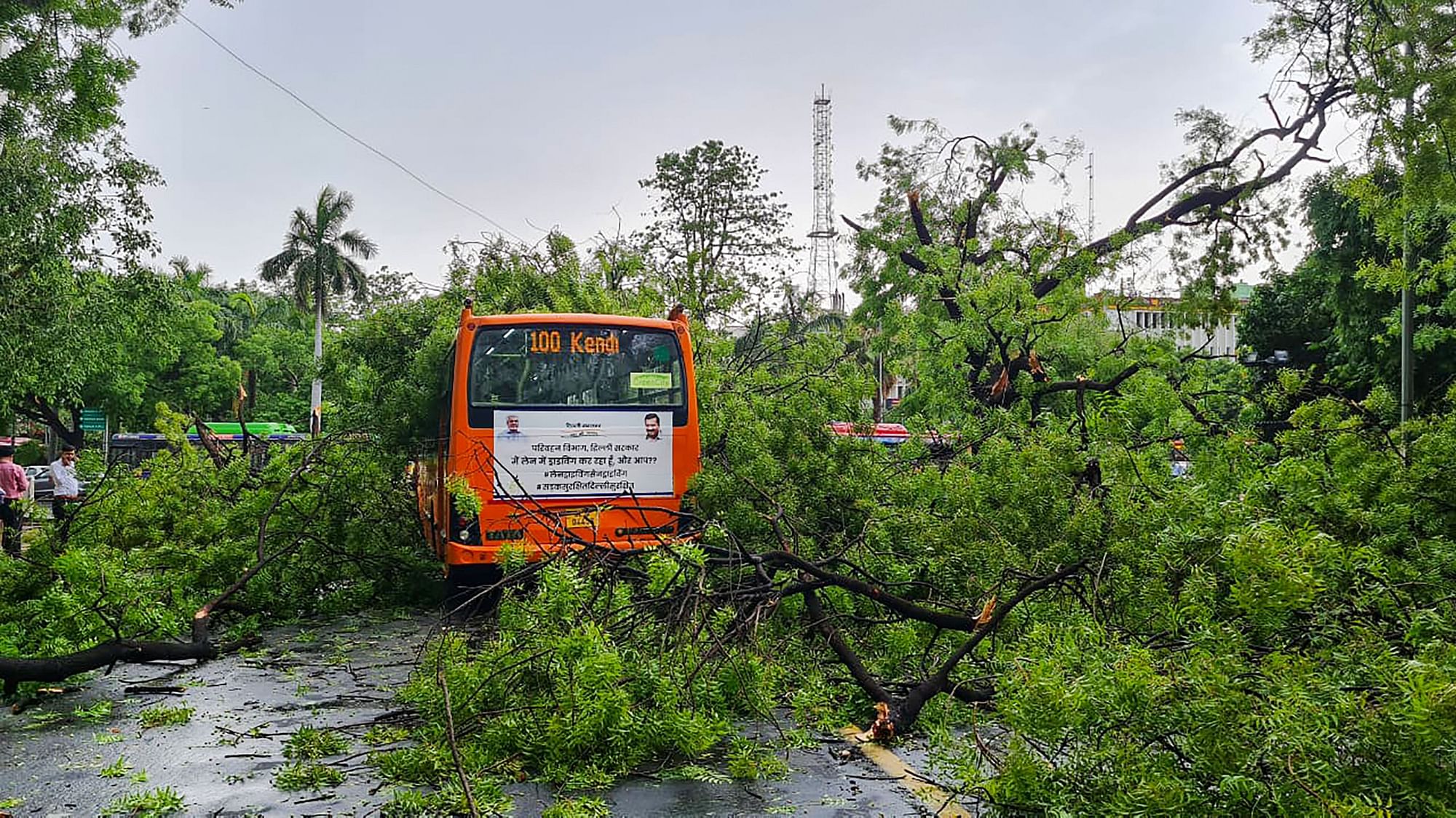 <div class="paragraphs"><p>A damaged bus was stuck in the middle of the road after a tree fell on it in New Delhi.</p></div>