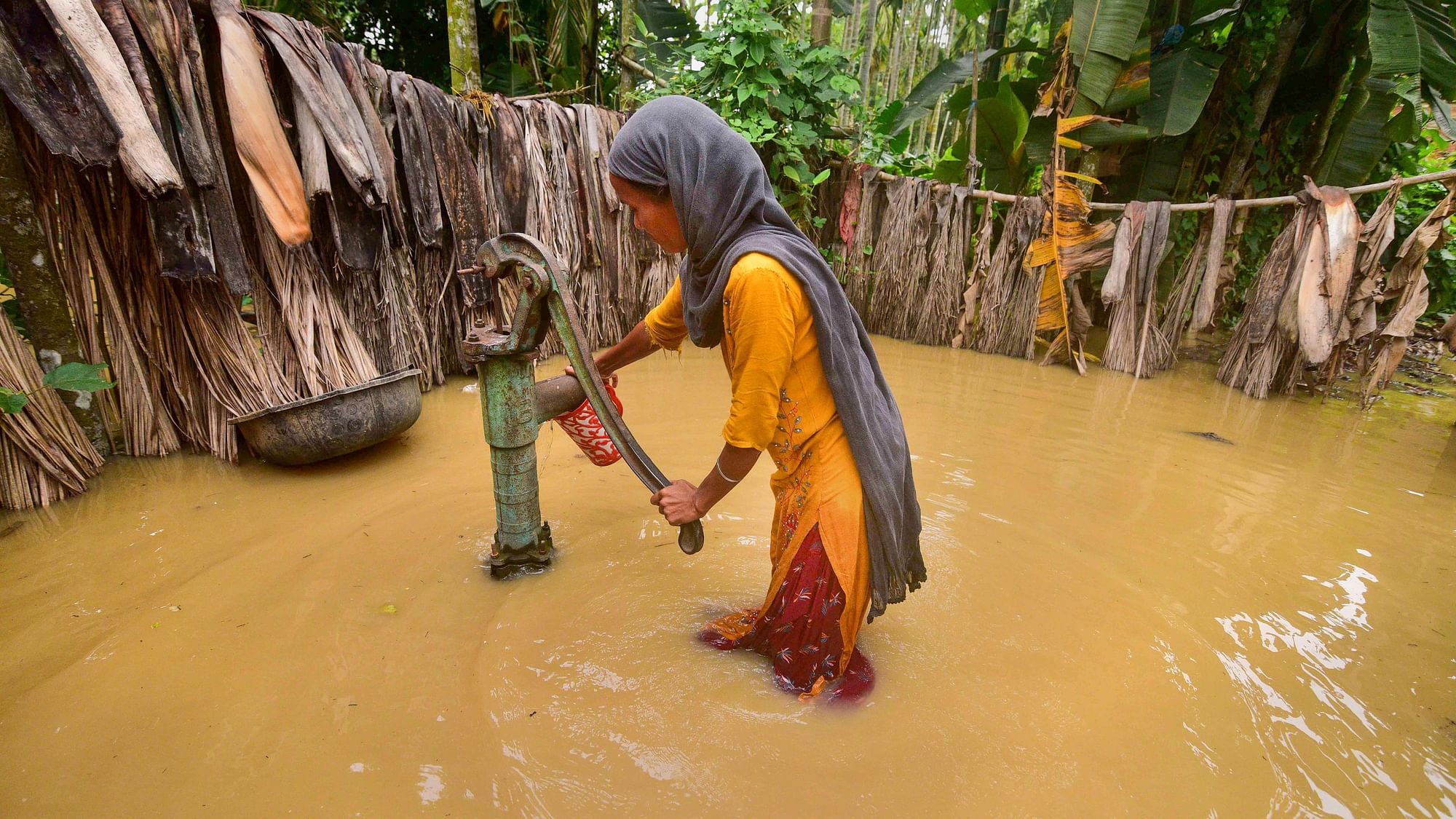 <div class="paragraphs"><p>A woman collects drinking water from a handpump in the flooded area of Bakula Guri village in Nagaon district.</p></div>