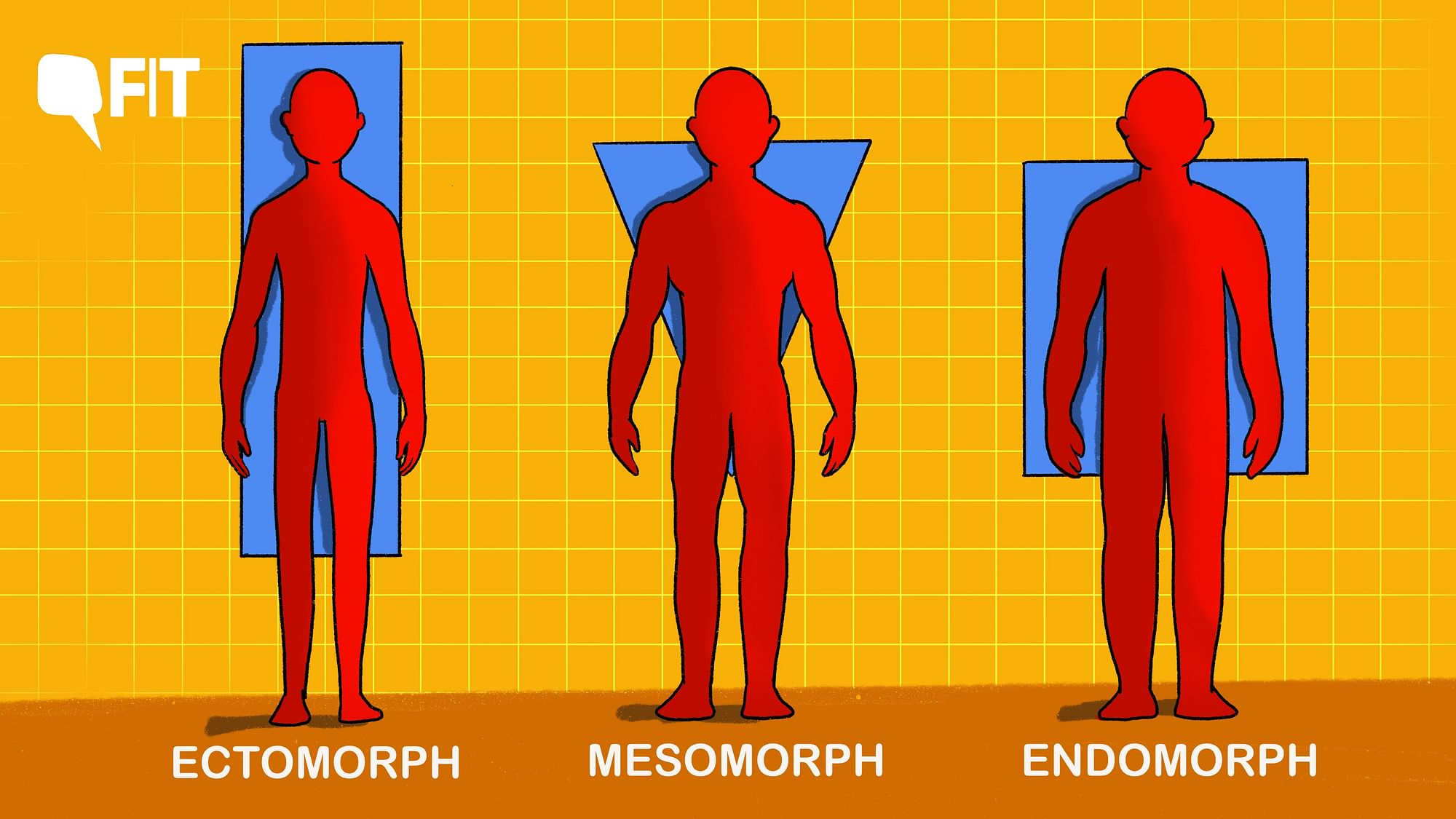 <div class="paragraphs"><p>The exercises that work for an endomorph, may not work for a mesomorph or an ectomorph.</p></div>