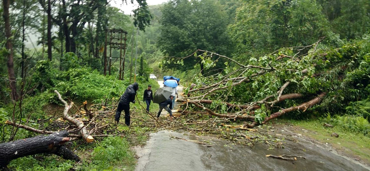 <div class="paragraphs"><p>An uprooted tree due to heavy rainfall in  the Dima Hasao district on 15 May.</p></div>