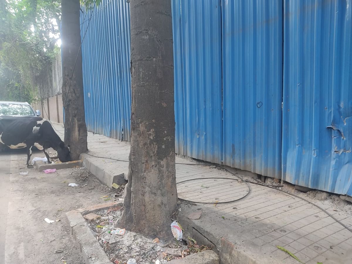 Unattended cables and wires across Bengaluru have become a menace. 