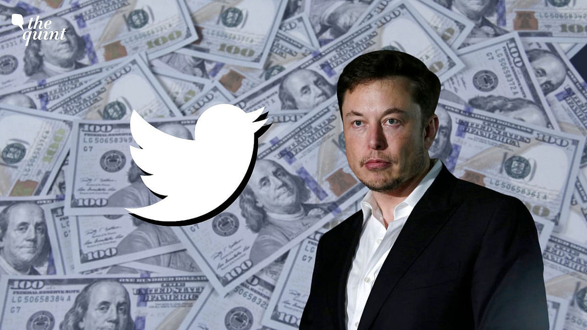 'Still Committed to Acquisition': Elon Musk After Putting Twitter Deal 'On Hold'