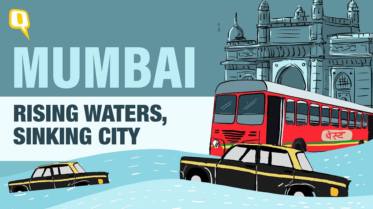 Support Our Special Project | Mumbai: Rising Waters, Sinking City
