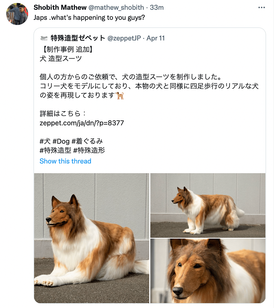 Japanese man Collie dog