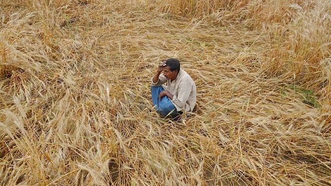 <div class="paragraphs"><p>India recorded&nbsp;a huge crop loss  in March due to the heatwave.</p></div>