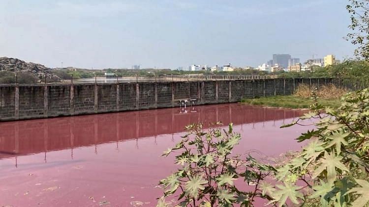 <div class="paragraphs"><p>Water in the lake adjoining&nbsp;Chennai’s Perungudi landfill turns pink.</p></div>