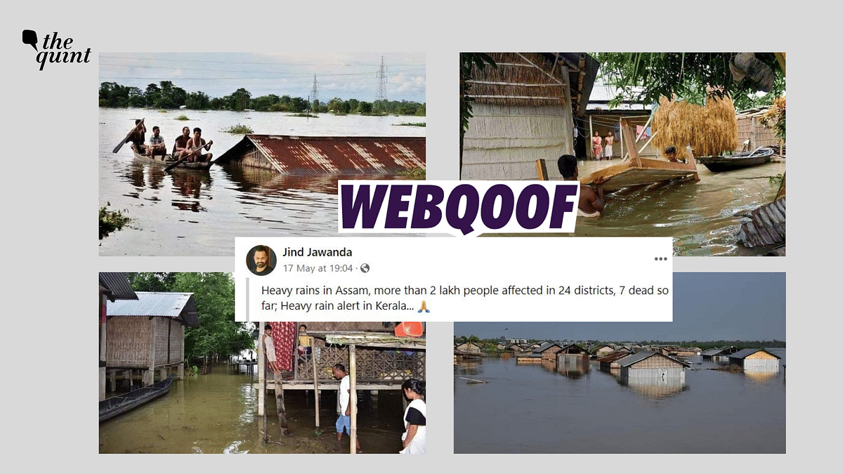 Fact-Check: Old Photos Shared as Recent Visuals From Assam Floods