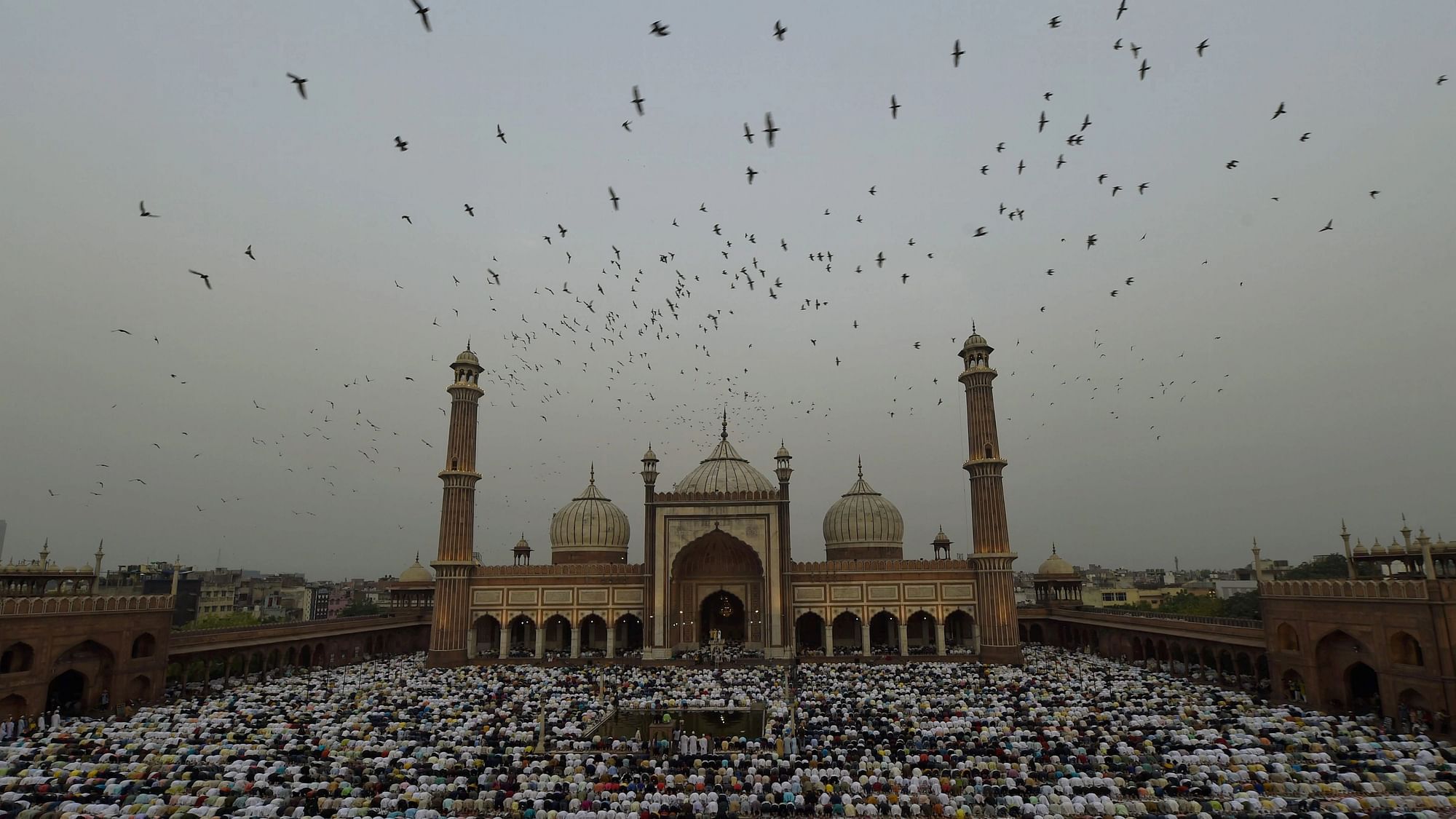 <div class="paragraphs"><p>Eid was celebrated across India on Tuesday, 3 May, with zeal and grandeur. Here's a glimpse of the celebrations.</p></div>