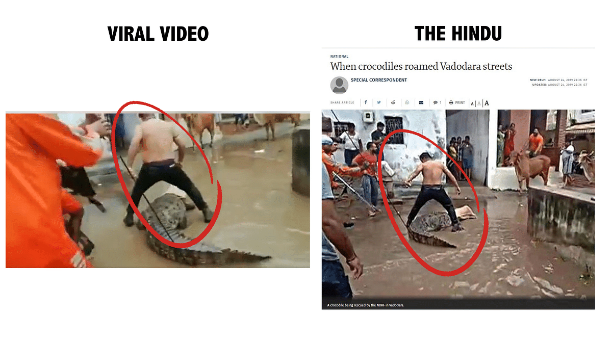 <div class="paragraphs"><p>Comparison between the viral video and 2019's news report.&nbsp;</p></div>