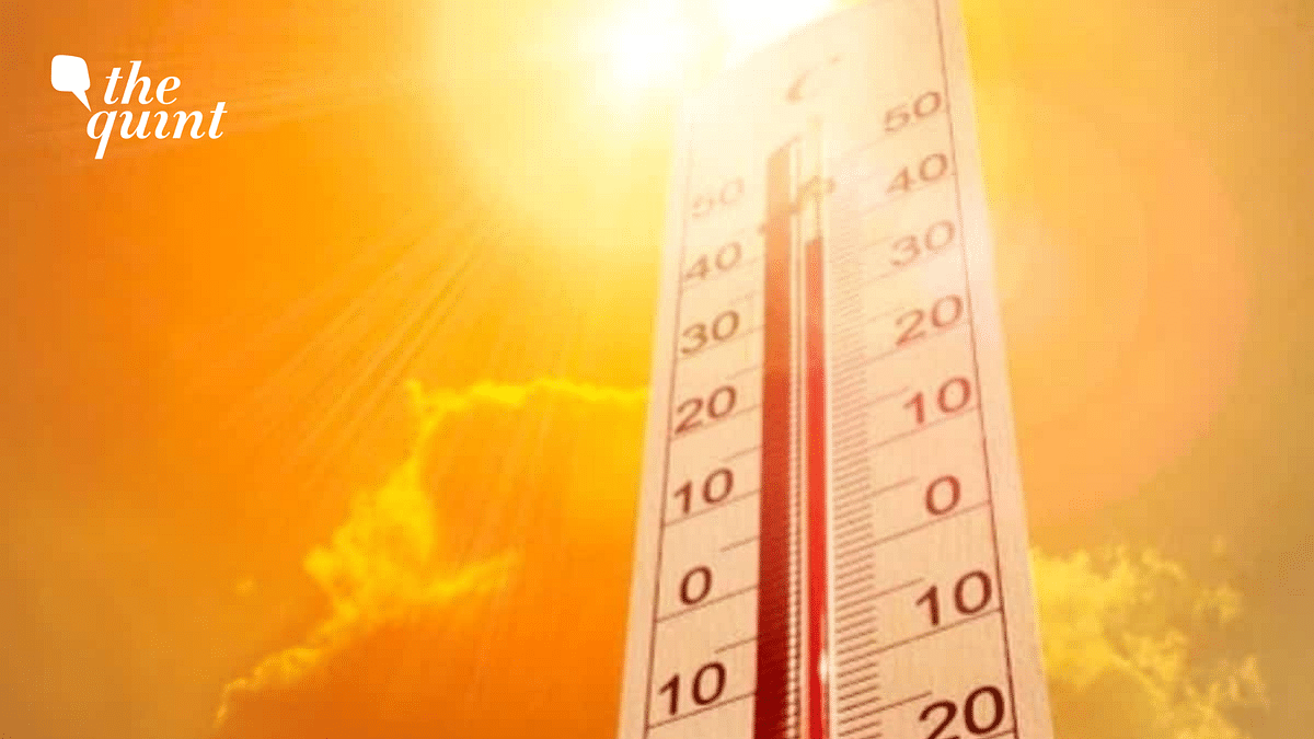 'No Major Relief From Intense Heat Till 15 June': IMD