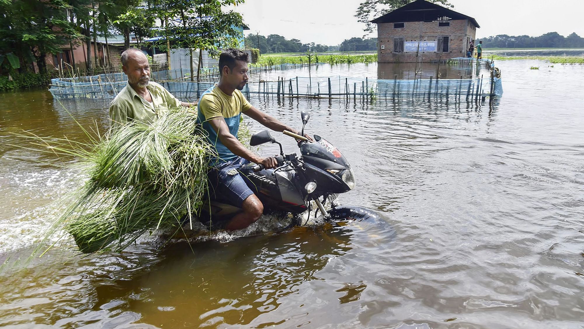 <div class="paragraphs"><p>India: Assam is experiencing incessant rainfall and massive floods this year, with over 100 deaths.</p></div>