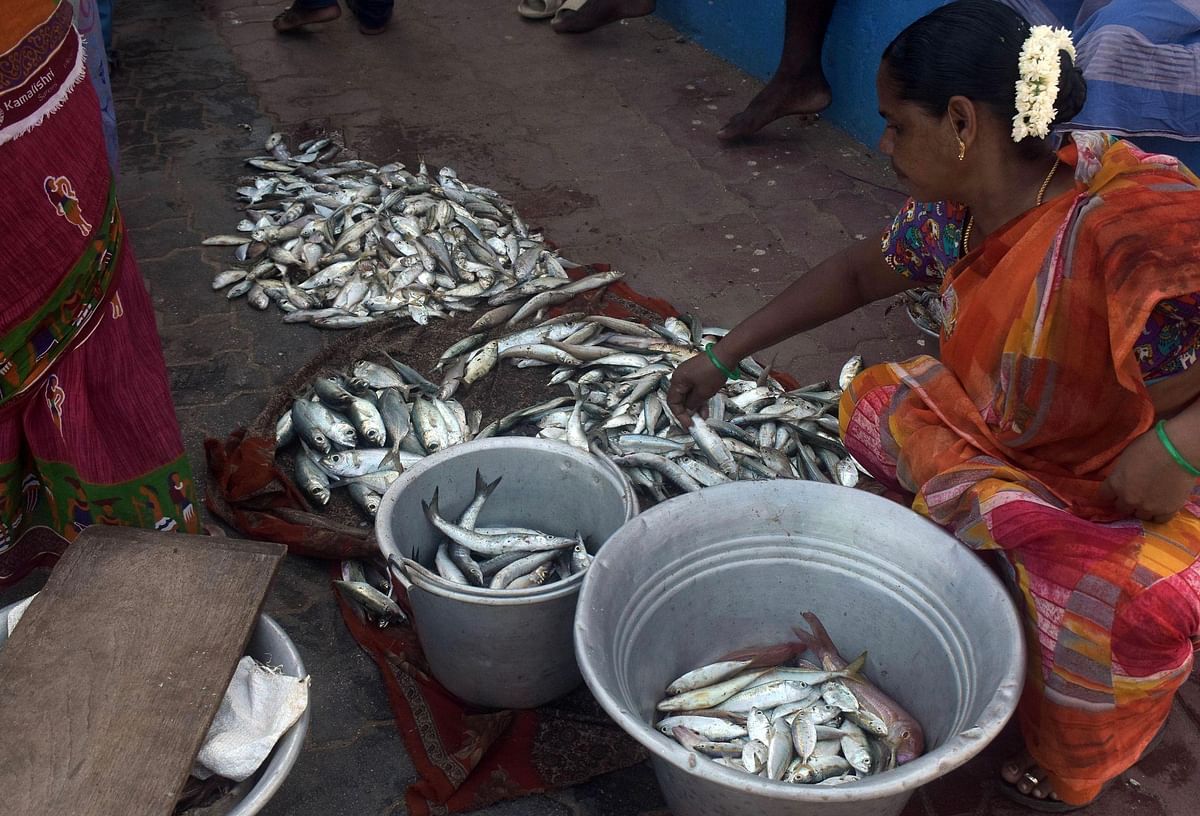 Women have been confined to shore-based labour within the fishing industry. 