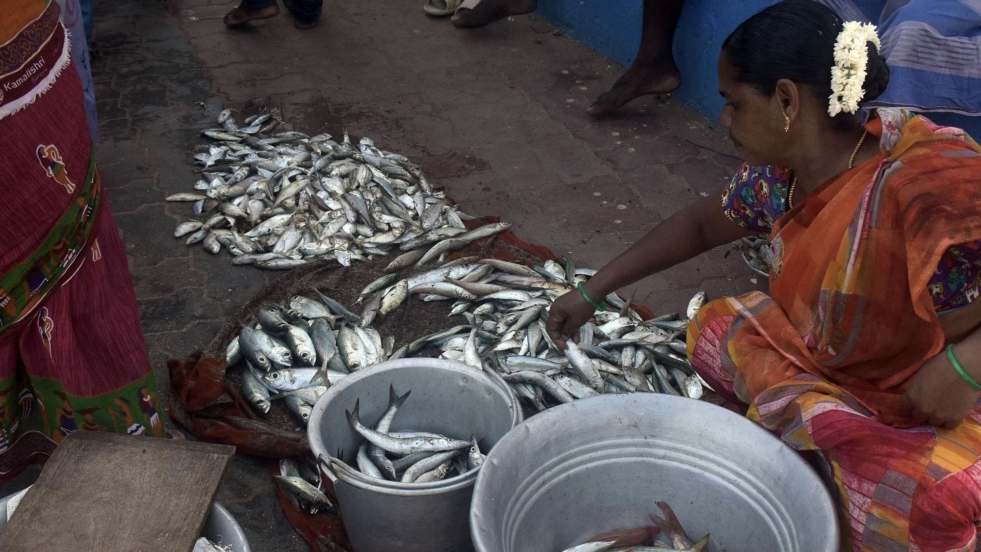 <div class="paragraphs"><p>Although fisherwomen are a blur in the background, they play an imperative role in the fishing supply chain.</p></div>