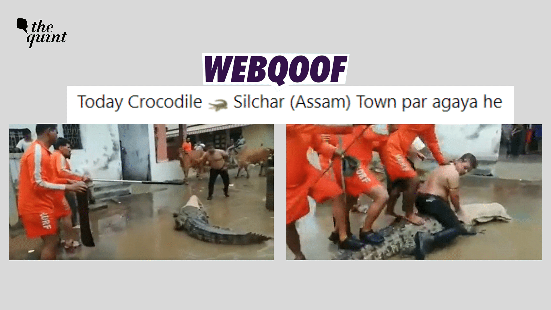 <div class="paragraphs"><p>Fact-check : The viral post claims that a crocodile was found at Assam's Vadodara.</p></div>