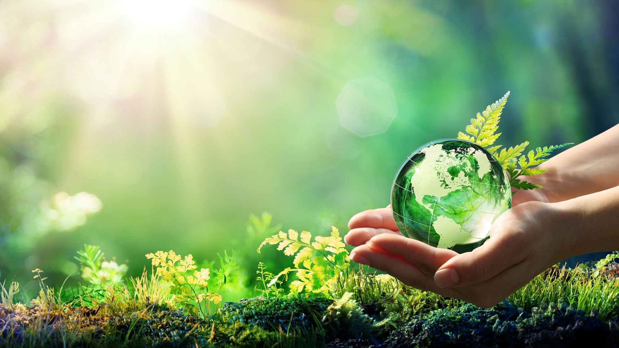 <div class="paragraphs"><p>World Environment Day is celebrated on 5 June 2022.</p></div>