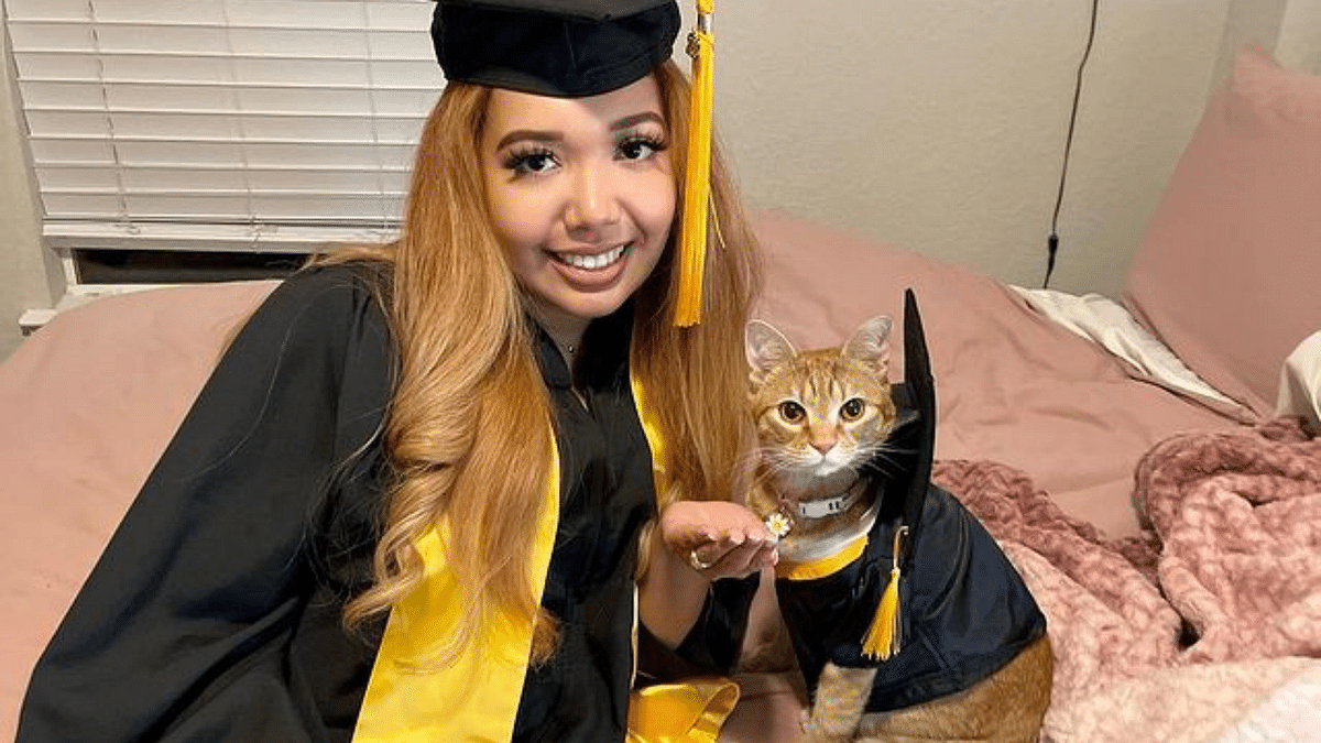 Cat Graduates With Owner for Attending Every Zoom Lecture With Her